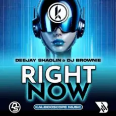Deejay Shaolin & DJ Brownie - Right Now