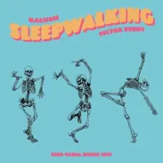 KALUSH & Victor Perry - Sleepwalking (Pink Panda House Edit)
