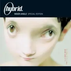 Hybrid - Make A Move