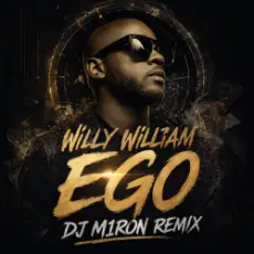 Willy William - Ego (Dj M1ron Remix)