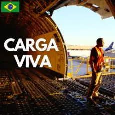 Carga Viva - Maquillaje