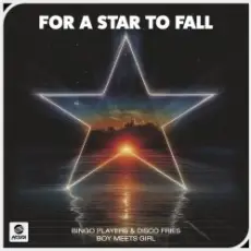 Bingo Players & Disco Fries & Boy Meets Girl - For A Star To Fall