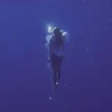 Phil it - Пірнаю