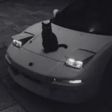 supwel - "not alone" (chill, wave vibe)