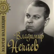 Владимир Нечаев - Огонёк