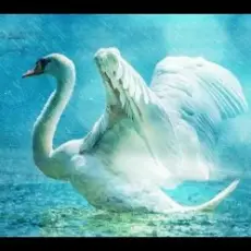 Lacross - Save Me (Swan Lake)