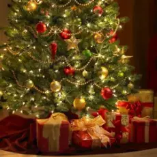 Обложка трека Under the christmas tree