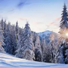 Y.K. MUSIC - ОЙ, КАРПАТИ - БІЛІ ШАТИ