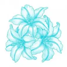 Ant+Shift - Пропаганда