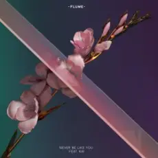 Flume - Never Be Like You (Feat. Kai)