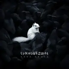 KARA KROSS - Сумасшедшая