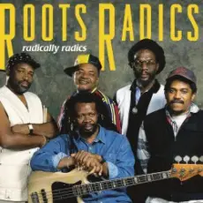 Roots Radics - Everything