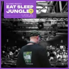 DJ Hybrid - Jungle Man