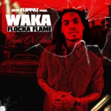 Waka Flocka Flame - Introduction Fight