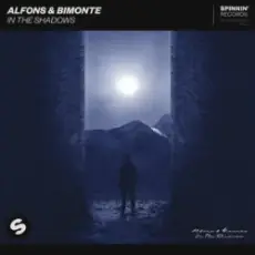 Alfons & BIMONTE - In the shadows