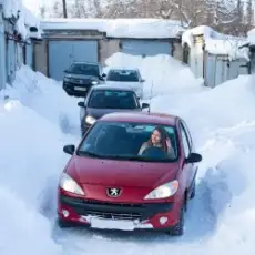 Пьянков Михаил Александрович - Красное Пежо