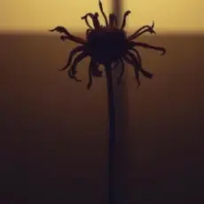 Neytan - Welcome to my mind