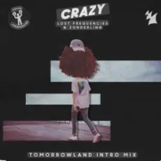Lost Frequencies & Zonderling - Crazy
