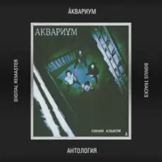 Аквариум - Гость