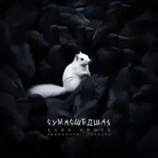 KARA KROSS - Сумасшедшая (Remix)