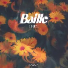 ERIICE - Baille