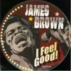 James Brown - I Got You (I Feel Good)