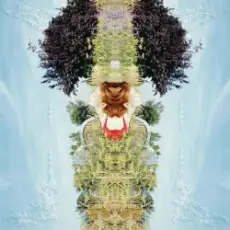 Pei-Yu Hung - Scatter