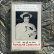 Аркадий Северный - Алёшка жарил на баяне