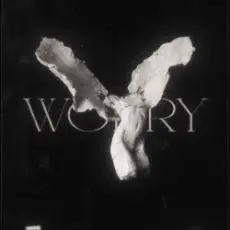 LONOWN & riserayss - starly & jessie (Mashup)