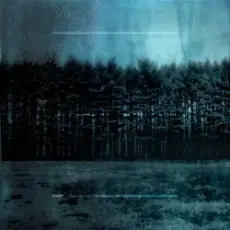 Taylor Deupree - A Dead Yellow Carpet