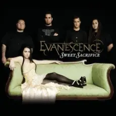 Evanescence - Weight Of The World [Live From Tokyo]