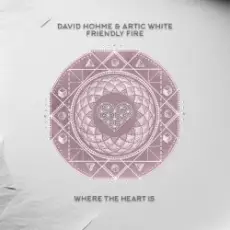 David Hohme & Artic White - Friendly Fire