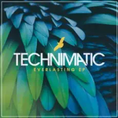 Technimatic - Not Far To Go (Mixed)