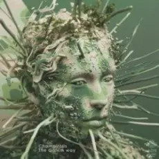 Champirolls - Leafs In The System