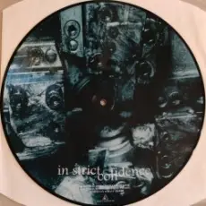 Aghast View - Truthlike (Found Amplitude Remix By In Strict Confidence)