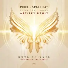 Pixel Vs Space Cat - Clear Test Signal (Astrix Rmx)