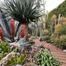 Echo Gardens - Den nich