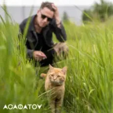 АСАФАТОV - Нулі