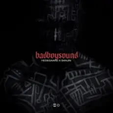 HEDEGAARD & Sanjin - badboysound