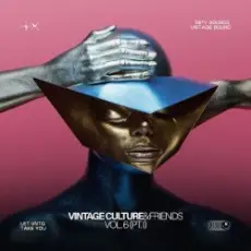 Vintage Culture & Volkoder - Give It to Me