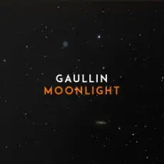 Gaullin - Moonlight