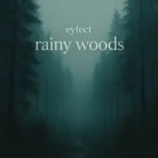eyfect - rainy woods
