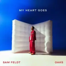 Sam Feldt - Been A While