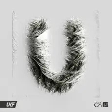 Camo & Krooked, Mefjus - U (Mixed)