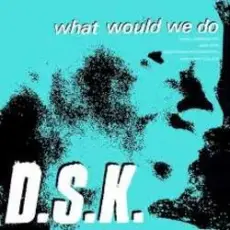 DSK - What Would We Do (Original Mix)