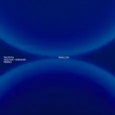 Shallou & Sultan & Shepard - Pacifica