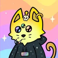 Cosmic Cats - Cats Choose a Direction