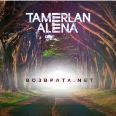 Тамерлан и Алёна - Возврата. NET