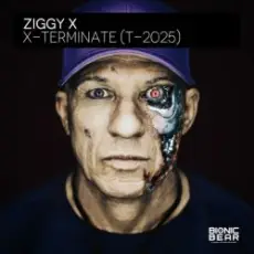 Ziggy X - Connexion