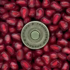 Сплин - Весь этот бред